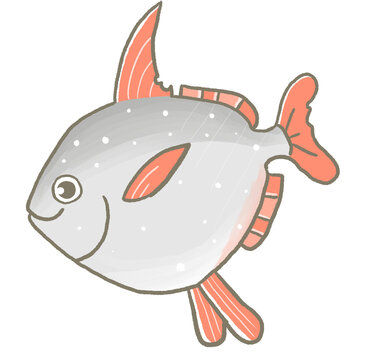 R:もっとメルヘンな水族館RX☆アカマンボウ①