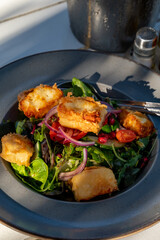 Healthy vegetarian Mediterranean food, Grilled Halloumi cheese Salad with green lettuce, onion and cucumber