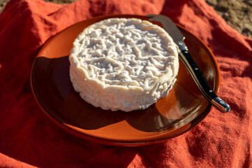 French cheeses collection, Saint-Félicien cow's milk cheese from Rhône-Alpes region of France designated a dauphinois cheese