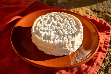 French cheeses collection, Saint-Félicien cow's milk cheese from Rhône-Alpes region of France designated a dauphinois cheese