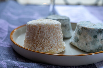 Small french goat cheeses, matured with grey mold from Macon, Burgundy, France
