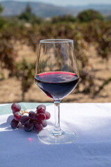 Tasting of red wine on vineyards of Cyprus. Wine production on Cyprus, tourists wine route.