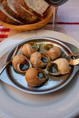 Starter dish in traditional restaurants on Burgundy, snails cooked with butter, garlic and herbs
