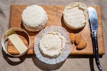 French cheeses Rocamadour and Saint-Marcellin served on olive tree wooden plank with almonds