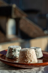 Small french goat cheeses, matured with grey mold from Macon, Burgundy, France