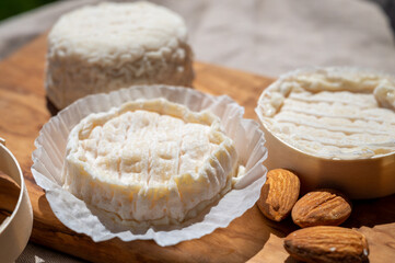 French cheeses Rocamadour and Saint-Marcellin served on olive tree wooden plank with almonds