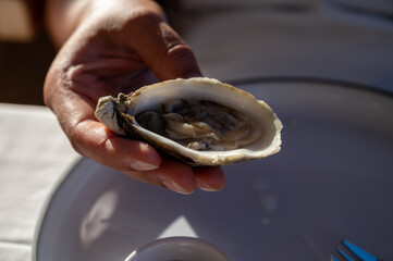 Young woman in white dress eats fresh live oysters seafood in French restaurant