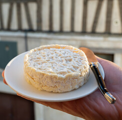 French cheeses collection, Saint-Félicien cow's milk cheese from Rhône-Alpes region of France...