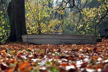 Altes Boot am Seeufer