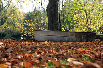 Altes Boot am Seeufer