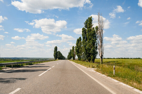 Motor transport routes between trees laid asphalt in Ukraine pre -war period.