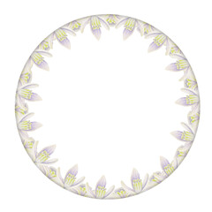 Watercolor hand drawn circle wreath with spring flowers, daffodils, crocus, snowdrops, leaves. Isolated on white background. Design for invitations, wedding, greeting cards, wallpaper, print, textile.
