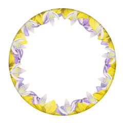 Watercolor hand drawn circle wreath with spring flowers, daffodils, crocus, snowdrops, leaves. Isolated on white background. Design for invitations, wedding, greeting cards, wallpaper, print, textile.