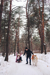 Fototapeta na wymiar Fun walk with the dog in winter. The guy and the dog ride the girl on a sleigh in the forest