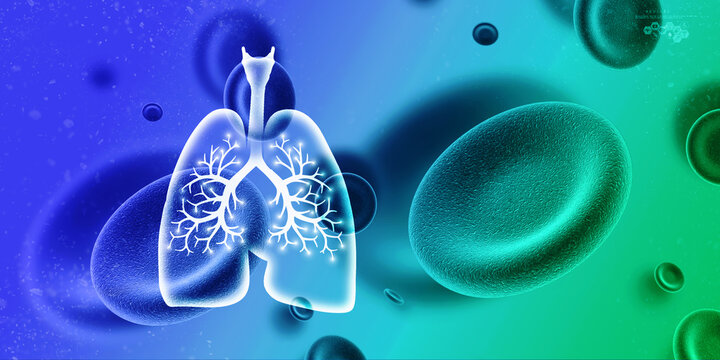 2d illustration Healthy Human Lungs 
