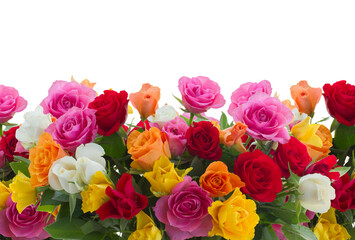 bouquet of fresh roses