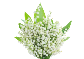 Wandcirkels tuinposter lilly of the valley posy © neirfy