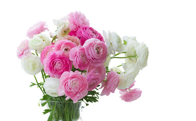 Pink and white ranunculus flowers