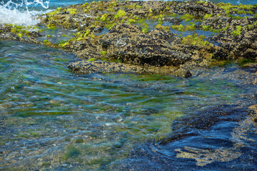 rocks on the sea