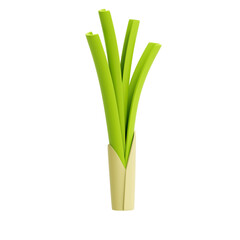 3d Illustration leek