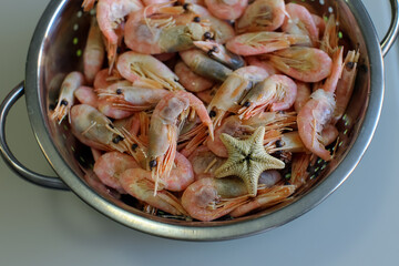 Shrimp and  one starfish in a mettalic colander