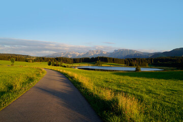 Naklejka premium hiking trail overlooking scenic alpine lake Attlesee and the lush alpine valley with its endless green alpine meadows in the Bavarian Alps in Nesselwang, Allgaeu or Allgau, Bavaria, Germany
