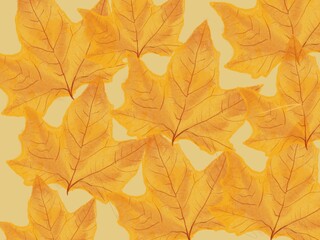 Naklejka na ściany i meble Background with autumn leaves abstract.