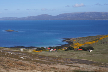 Farm buildings at Carcass Island Settlement in the Falkland Islands.
