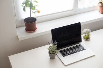 workspace with modern laptop. desktop