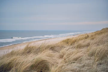 Selbstklebende Fototapeten Dunes at the Danish coast in winter. High quality photo © Florian Kunde