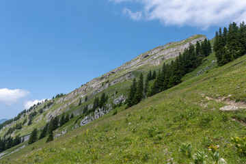 Fototapeta na wymiar Panorama in den Alpen im Sommer