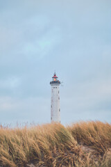 Lighthouse Lyngvig Fyr at danish west coast. High quality photo - obrazy, fototapety, plakaty
