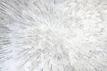 Winter landscape, winter forest trees covered with frost and snow, frozen lake in the winter forest