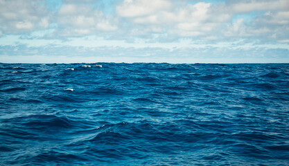 Wind, waves and sky over the waters of the southern ocean off the coast of Africa. - obrazy, fototapety, plakaty