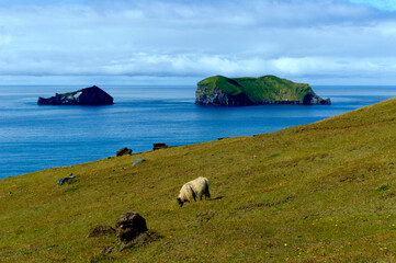 view of the coast of the ocean