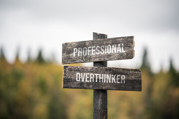 vintage and rustic wooden signpost with the weathered text quote professional overthinker, outdoors in nature. blurred out forest fall colors in the background.