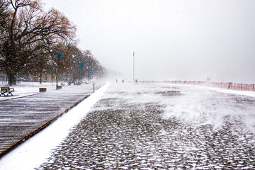 People embrace winter as snow and wind blow across a bleak frozen beach.  Shot in the Toronto...