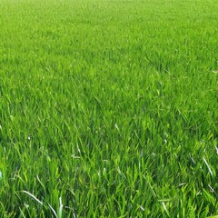 Fototapeta premium Green grass sunny background - generative ai