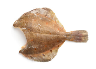  Side view of raw frozen headless flounder fish