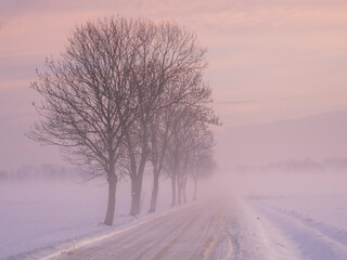 winter road in the fog