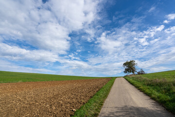 Landschaft Heimsheim