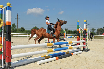 Girl riding a horse stops in front of the barrier on training.