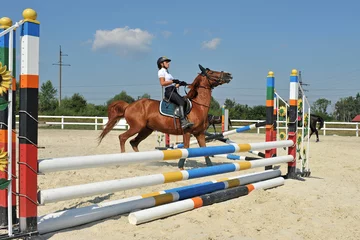 Zelfklevend Fotobehang Girl riding a horse stops in front of the barrier on training. © Mykola