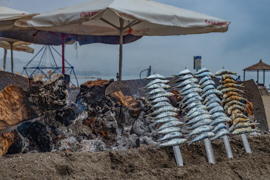 Closeup of some espetos prepared on skewers and open flame on fireplace with olive trees wood on the beach. Traditional Malaga city mediterranean food, La Malagueta beach, Malaga, Spain               
