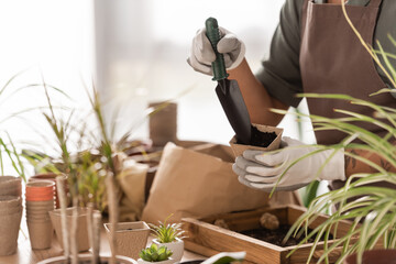 partial view of african american florist holding garden scoop and flowerpot with soil near blurred plants