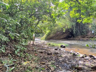 Rio Jacaré Pepira