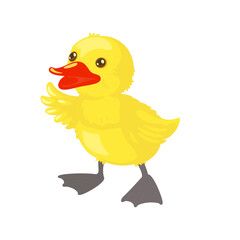 Vector cartoon chick vector illustration farm animal isolated on white background illustration.