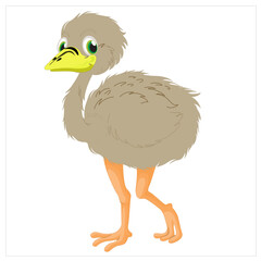 cute,beautiful,animal vector illustration