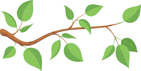 Tree branch with green leaves. Cartoon nature icon