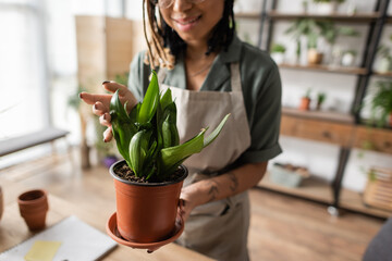 cropped view of pleased african american florist touching leaves of natural potted plant in flower shop